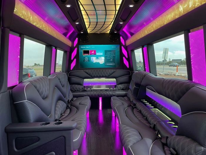 Sprinter limo lounge with TV – Fort Lupton limo service