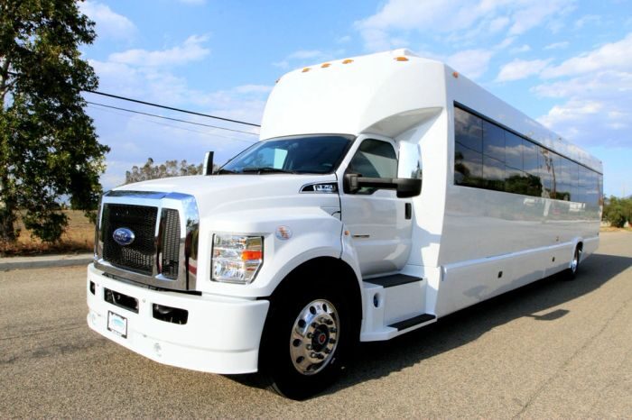 White party bus – Fort Lupton limo service