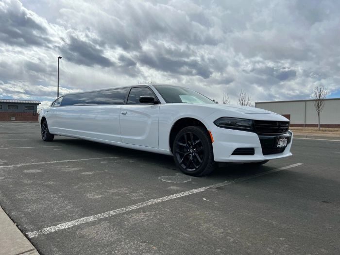 White stretch limo – Fort Lupton limo service